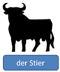 bull in German
