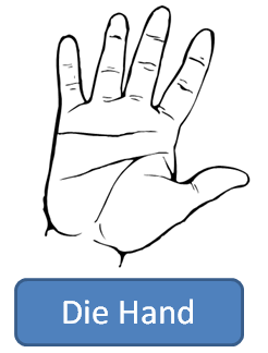 hand in German