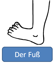 foot